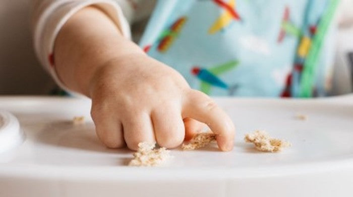 Helping Hands - Part IV - Encouraging Hand Use 9 - 12 Months Old